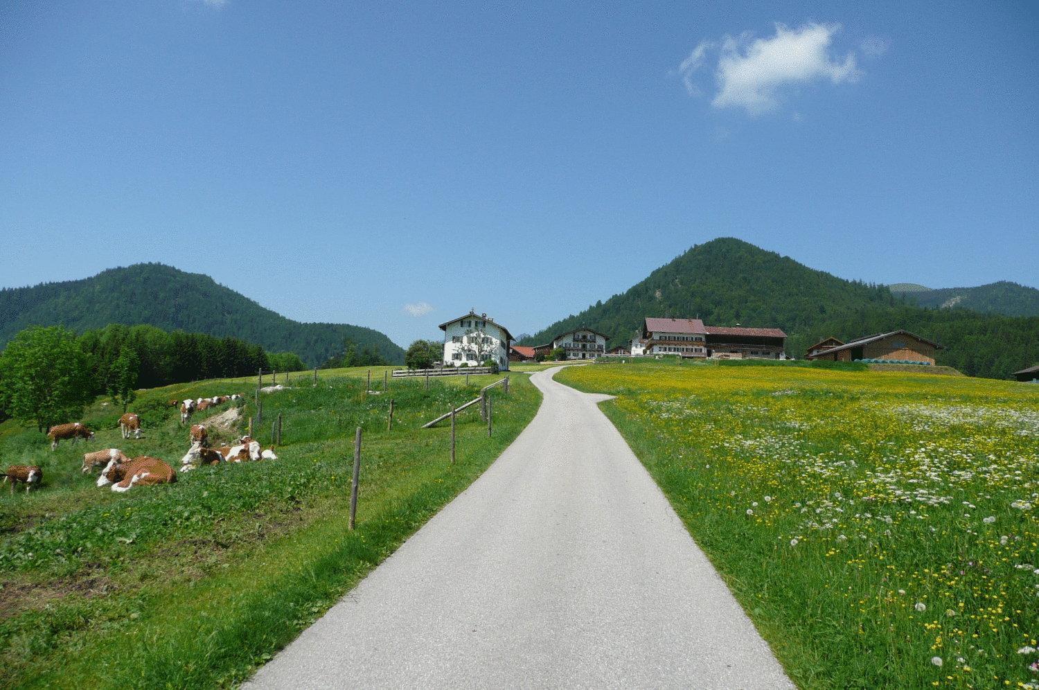 Gasthof Jachenau Luaran gambar